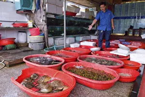 China, Zhejiang, Zhoushan Seafood restarurant owner showing his selection King Crabs China, Zhejiang, Zhoushan Seafood restarurant owner showing his selection King Crabs