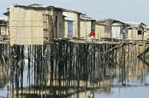 Images Dated 30th January 2009: ECUADOR, Guayas Province, Guayaquil Slum housing with stilt buildings built over