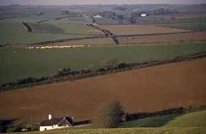 ENGLAND, Devon, Agriculture Agricultural landscape and field patterns with white ENGLAND, Devon, Agriculture Agricultural landscape and field patterns with white