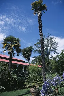 ENGLAND, Dorset, Weymouth Abbotsbury Sub Tropical Gardens ENGLAND, Dorset, Weymouth Abbotsbury Sub Tropical Gardens