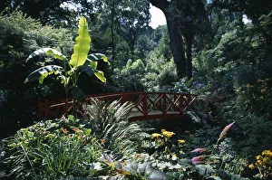 ENGLAND, Dorset, Weymouth Abbotsbury Sub Tropical Gardens ENGLAND, Dorset, Weymouth Abbotsbury Sub Tropical Gardens