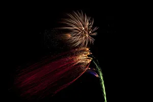 Pyrotechnic Gallery: EyeUbiquitous_20101884