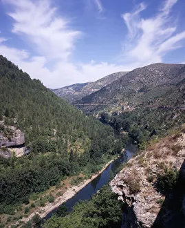 FRANCE, Midi-Pyrenees, Aveyron Tarn Gorge. View west along gorge FRANCE, Midi-Pyrenees, Aveyron Tarn Gorge. View west along gorge