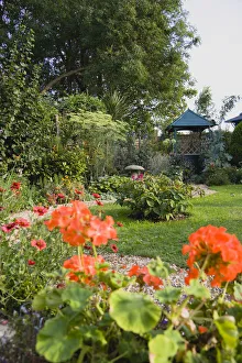 Geranium, red flowers in the foreground of a winding shingle path leading to a gazebo Geranium, red flowers in the foreground of a winding shingle path leading to a gazebo
