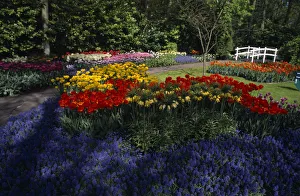 HOLLAND, South, Lisse Keukenhof Gardens. Multicoloured tulip display with a small HOLLAND, South, Lisse Keukenhof Gardens. Multicoloured tulip display with a small