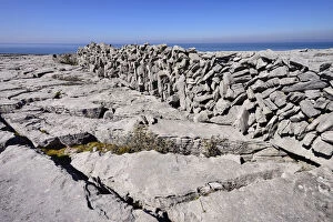 Ireland, County Clare, The Burren, Clints and grykes below a typical stone wall