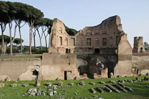 Italy, Lazio, Rome, The Palatine, Baths of Septimus Severus