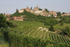 Italy, Piedmont, Langhe, village of Nieve with vineyards Italy, Piedmont, Langhe, village of Nieve with vineyards