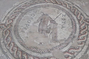 Italy, Veneto, Verona, Roman floor mosaic, Archaeological Museum, Teatro Romano