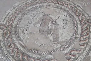 Italy, Veneto, Verona, Roman floor mosaic, Archaeological Museum, Teatro Romano Italy, Veneto, Verona, Roman floor mosaic, Archaeological Museum, Teatro Romano