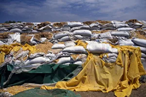 KENYA, North, Lokichokio Rotting sacks of food aid not distributed due to war in South KENYA, North, Lokichokio Rotting sacks of food aid not distributed due to war in South