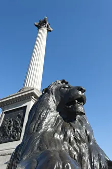 Lion statue and Nelson's column, Trafalgar Square, London Lion statue and Nelson's column, Trafalgar Square, London