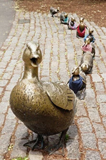 Images Dated 19th January 2016: Make way for ducklings sculpture by Nancy Schon, Boston Public Garden, Boston