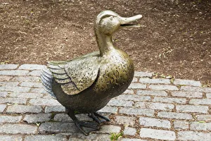 Mrs Mallard, Make way for ducklings sculpture by Nancy Schon, Boston Public Garden Mrs Mallard, Make way for ducklings sculpture by Nancy Schon, Boston Public Garden
