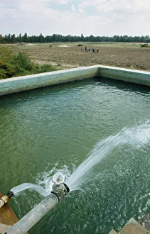 Qatar, General, Water pouring into an irrigation pool beside vegetable fields Qatar, General, Water pouring into an irrigation pool beside vegetable fields