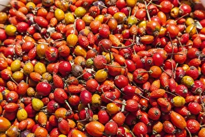 Rose hips for sale in an outdoor market, near Samarkand, Uzbekistan Rose hips for sale in an outdoor market, near Samarkand, Uzbekistan
