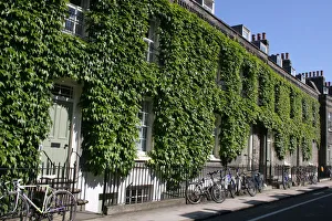 A row of terraced houses covered in plants with bicycles against railings A row of terraced houses covered in plants with bicycles against railings