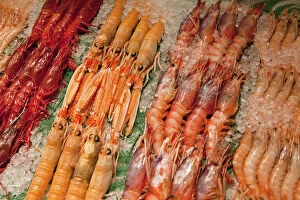 Images Dated 18th August 2014: Spain, Madrid, Display of langoustines on a stall in the Mercado San Anton