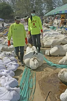 Thai volunteers sought the bodies out so they can be put into body bags and then they can be taken to the morgue where