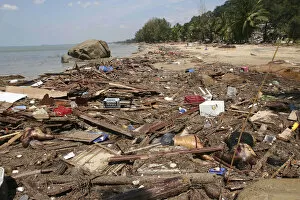 Tsunami. Bodies lay mixed with all the debris on the beach caused by the dissaster