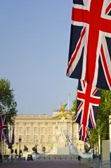 Images Dated 30th April 2011: UK, England, London, Buckingham Palace and The Mall decorated for the wedding of Prince William