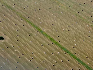 Aerial view of bales of straw on a harvested grain field in Brandenburg state Aerial view of bales of straw on a harvested grain field in Brandenburg state