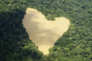 An aerial view of a natural lake fed by a spring in the Amazon River basin near Manaus An aerial view of a natural lake fed by a spring in the Amazon River basin near Manaus