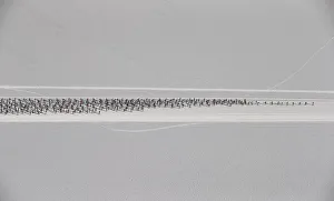 An aerial view shows cross country skiers racing over the frozen Lake Silsersee during An aerial view shows cross country skiers racing over the frozen Lake Silsersee during