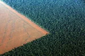 Images Dated 5th October 2015: The Amazon rain forest (R), bordered by deforested land prepared for the planting of soybeans