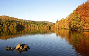 Images Dated 26th October 2012: Autumn trees are reflected in the water of Faskally Loch near Pitlochry, Scotland