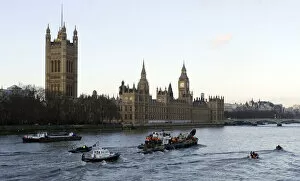 Images Dated 21st January 2006: The barge carrying the northern bottle-nosed whale rescued from the river Thames passes