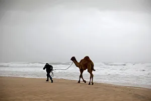 Images Dated 5th January 2018: A Bedouin walks with his camel in Zikim beach, on the Mediterranean coast near the