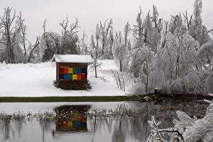 Ice Cap Gallery: A bee hay is seen surrounded by ice-capped broken trees in Rakitnik