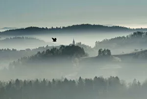 Images Dated 26th December 2016: A bird flies over the foggy country in Zlebe