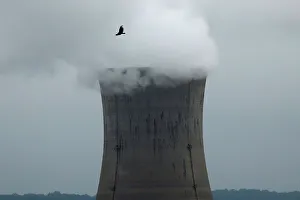 A bird flies over the Three Mile Island Nuclear power plant in Goldsboro A bird flies over the Three Mile Island Nuclear power plant in Goldsboro