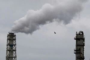 A bird flies near smoke being emitted from cement factory in an industrial area of the