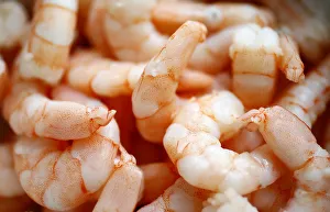 Images Dated 28th April 2012: A bowl with cooked shrimp is seen in a kitchen in Frankfurt