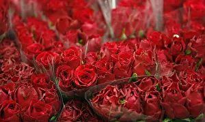Bunches of red roses are displayed on a stall at New Covent Garden Market a day before Bunches of red roses are displayed on a stall at New Covent Garden Market a day before