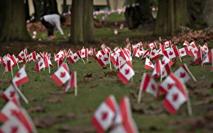 Canadian flags in honour of Remembrance Day cover the property of a seniors home in Canadian flags in honour of Remembrance Day cover the property of a seniors home in