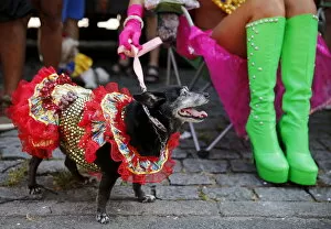 Images Dated 6th February 2016: A carnival reveller and her dog take part in the Blocao or dog carnival parade during