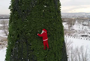 Russia Gallery: A climber dressed as Santa Claus decorates a Christmas tree in Krasnoyarsk
