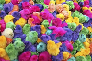 Colored chicks are sold during the run-up to Easter in downtown Amman Colored chicks are sold during the run-up to Easter in downtown Amman