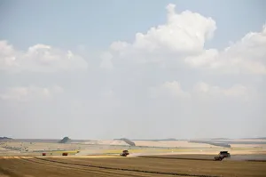 Russia Gallery: Combines harvest wheat in Stavropol region
