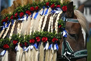 A decorated horse attends the traditional Georgi horse riding procession on Easter Monday A decorated horse attends the traditional Georgi horse riding procession on Easter Monday