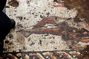 A decoration of a figure is seen on a mosaic floor which archaeologists say is 1 A decoration of a figure is seen on a mosaic floor which archaeologists say is 1