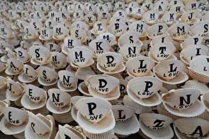 Decoration pieces made of ocean shells with painted alphabets, to attract visitors Decoration pieces made of ocean shells with painted alphabets, to attract visitors
