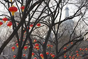 New Gallery: Decorations for the upcoming Chinese Lunar New Year are pictured in Beijing