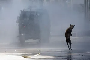 A dog jumps as riot police use a water cannon on a demonstrator during a protest against A dog jumps as riot police use a water cannon on a demonstrator during a protest against