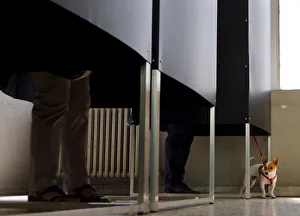 A dog is pictured as people cast their ballots at a polling station in Naples, Italy A dog is pictured as people cast their ballots at a polling station in Naples, Italy