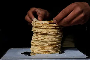 Employee weighs a stack of freshly made corn tortillas at a tortilla factory in Mexico Employee weighs a stack of freshly made corn tortillas at a tortilla factory in Mexico